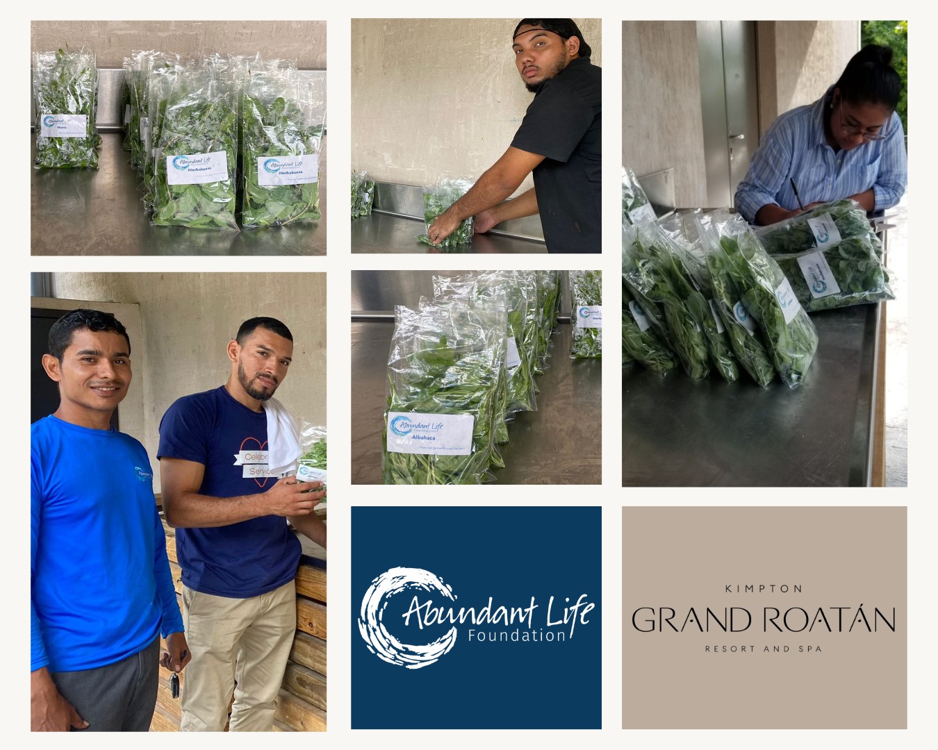 Our ALF agricultural... - Abundant Life Foundation - Roatan | Facebook