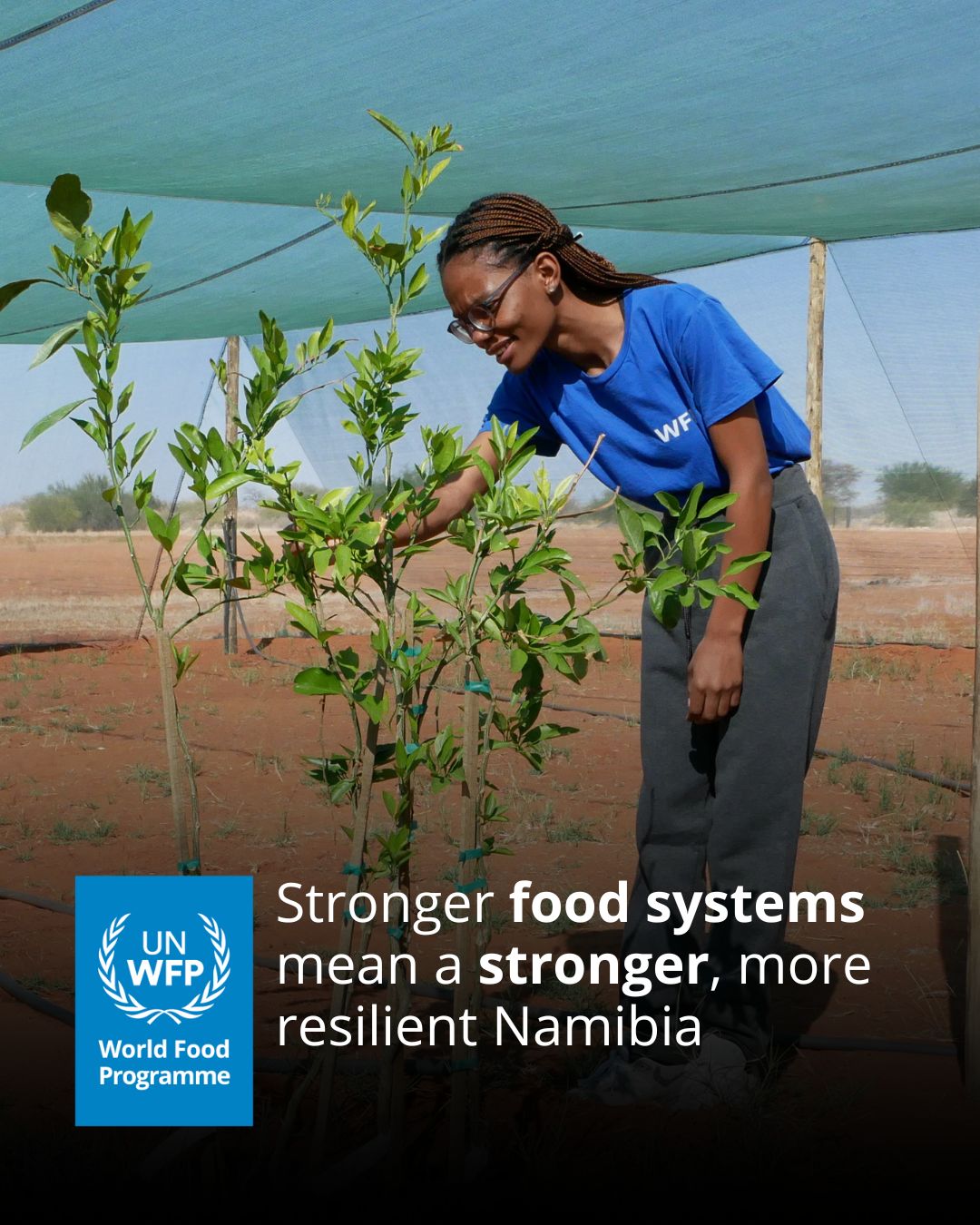 WFP - As we pursue food security issues, WFP Namibia continues to ...