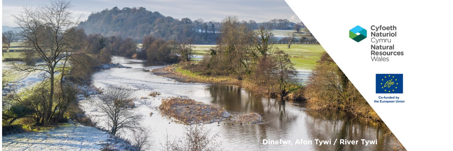 Restoring. Protecting. Taking action for our rivers. 🌊🛠️ Across Wales ...