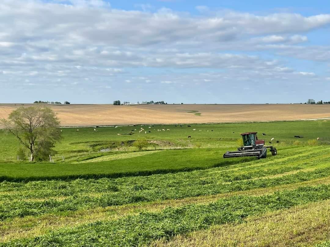 Butler Cattle Company | State Center IA