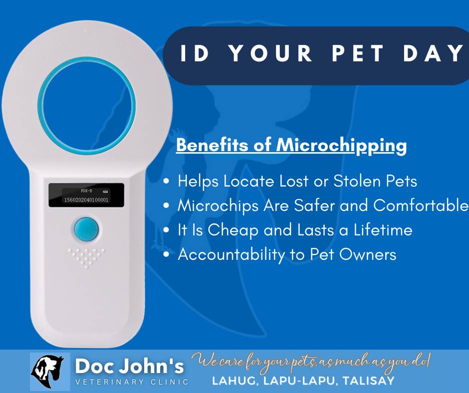 🐾📅 It's ID Your... - Doc John's Veterinary Clinic - Talisay