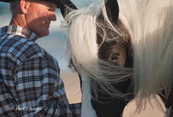 Dan Dailey Rodeo Cowboy INTERNATIONAL PROFESSIONAL RODEO ASSOCIATION