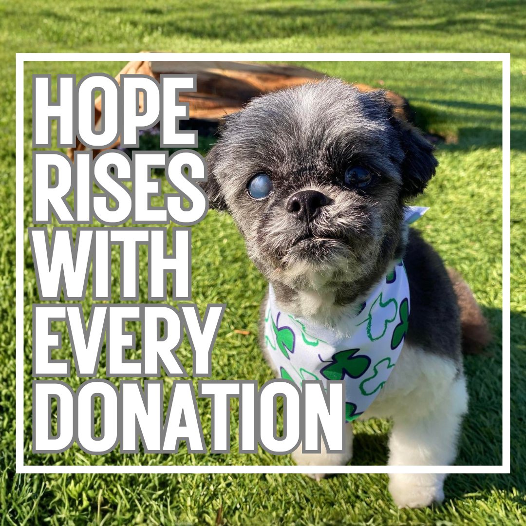Project Freedom Ride has always... - Project Freedom Ride | Facebook