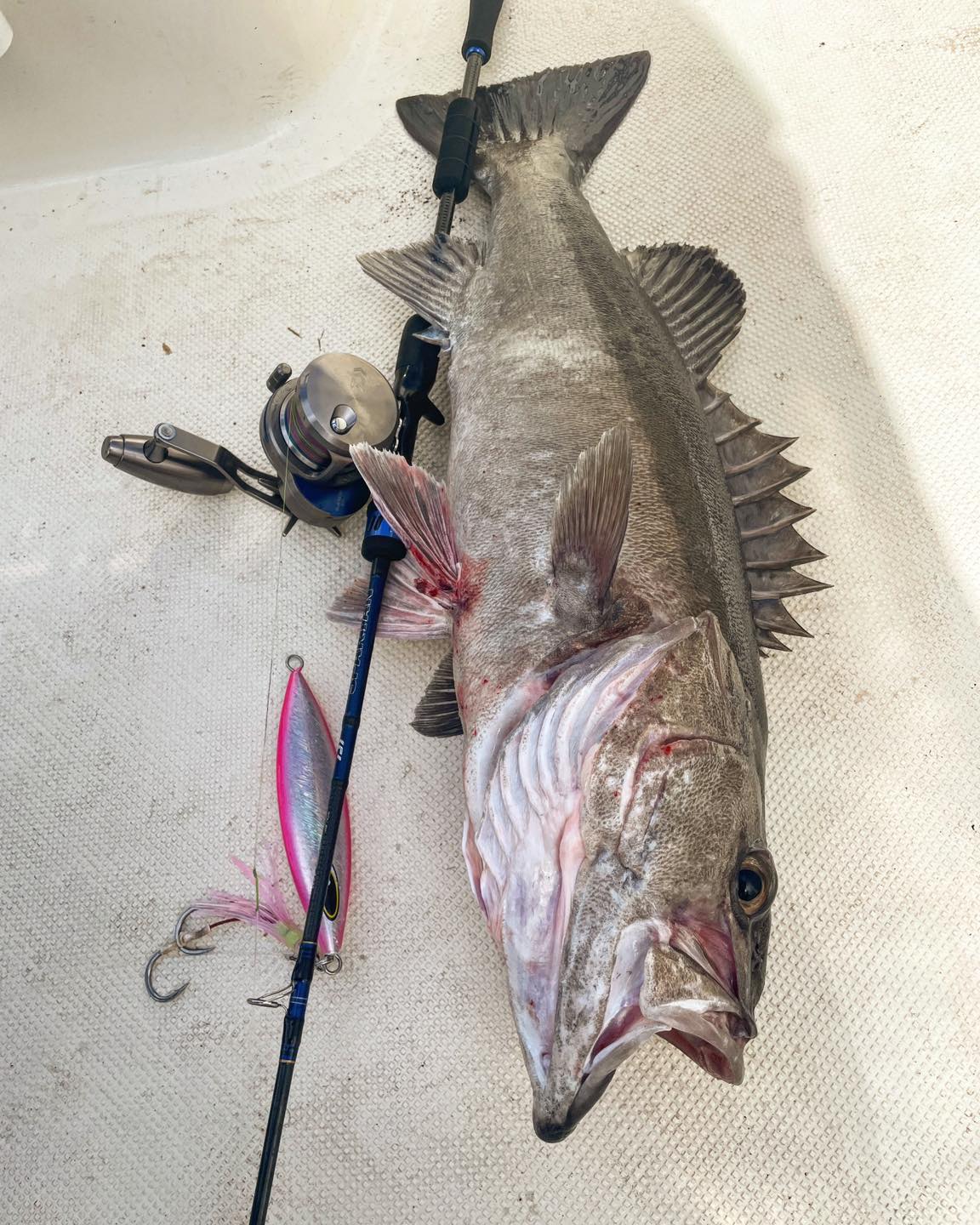 shimano abyss pitch bait rod Available in multiple colors Shimano Fishing | Land &