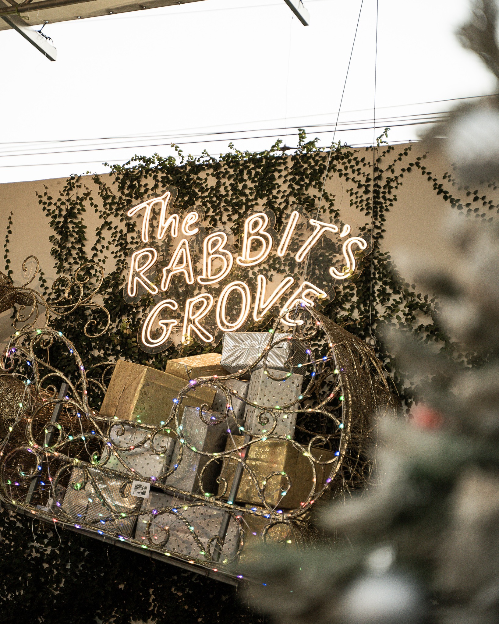 คืนนี้เรามีนัดกัน!... - The Rabbit’s Grove | Facebook