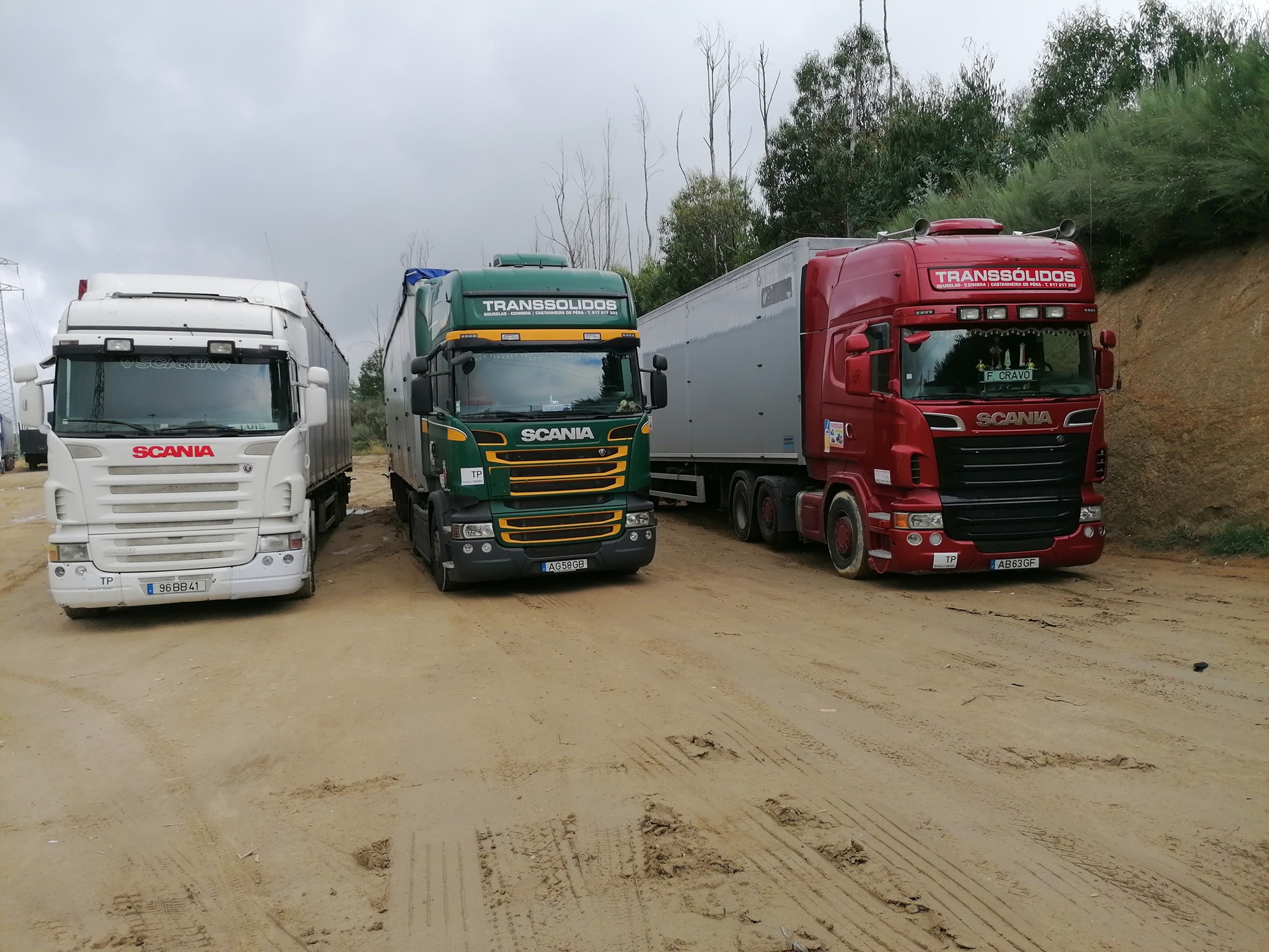 Transsolidos / Transpera