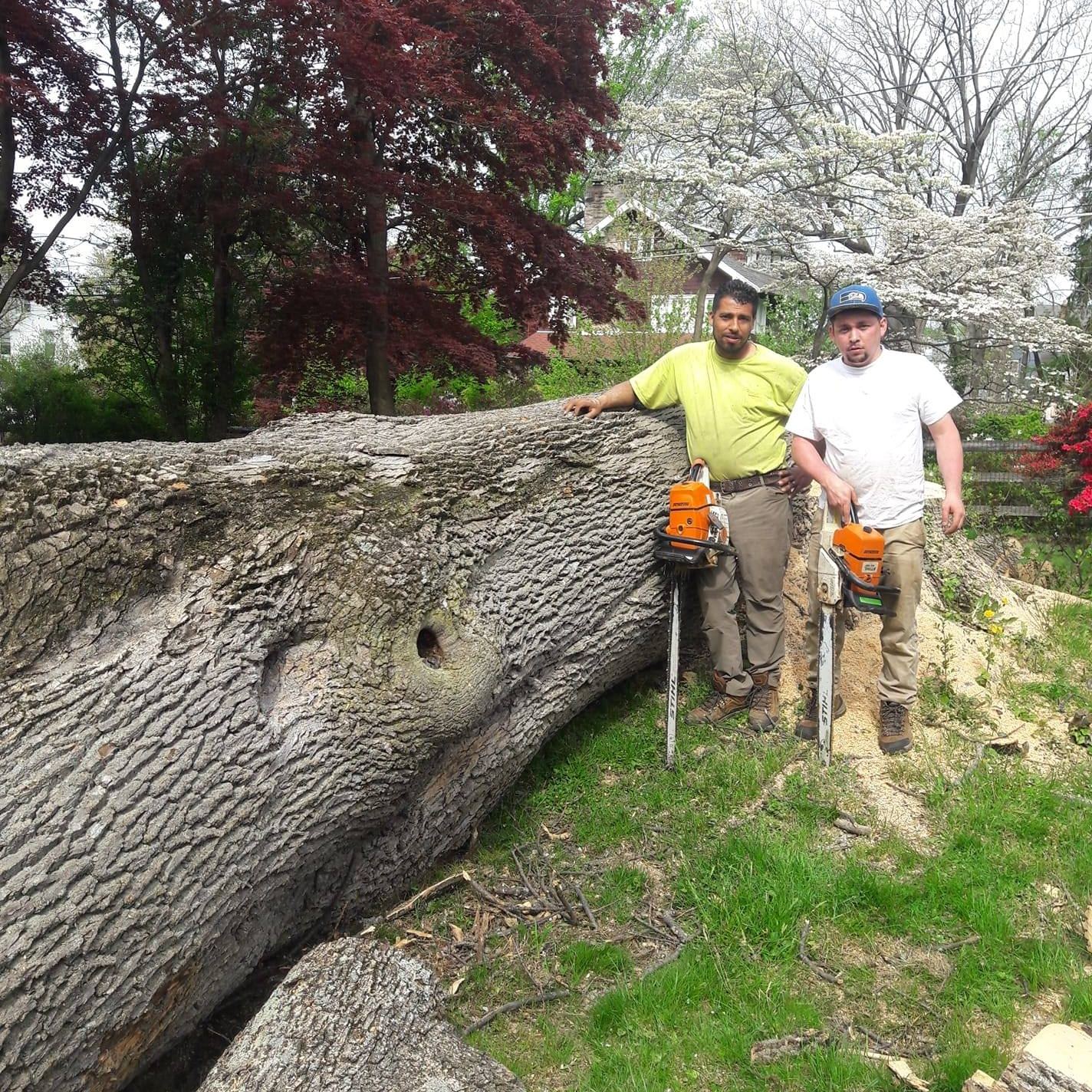 Top notch tree care and landscaping llc | Ivyland PA