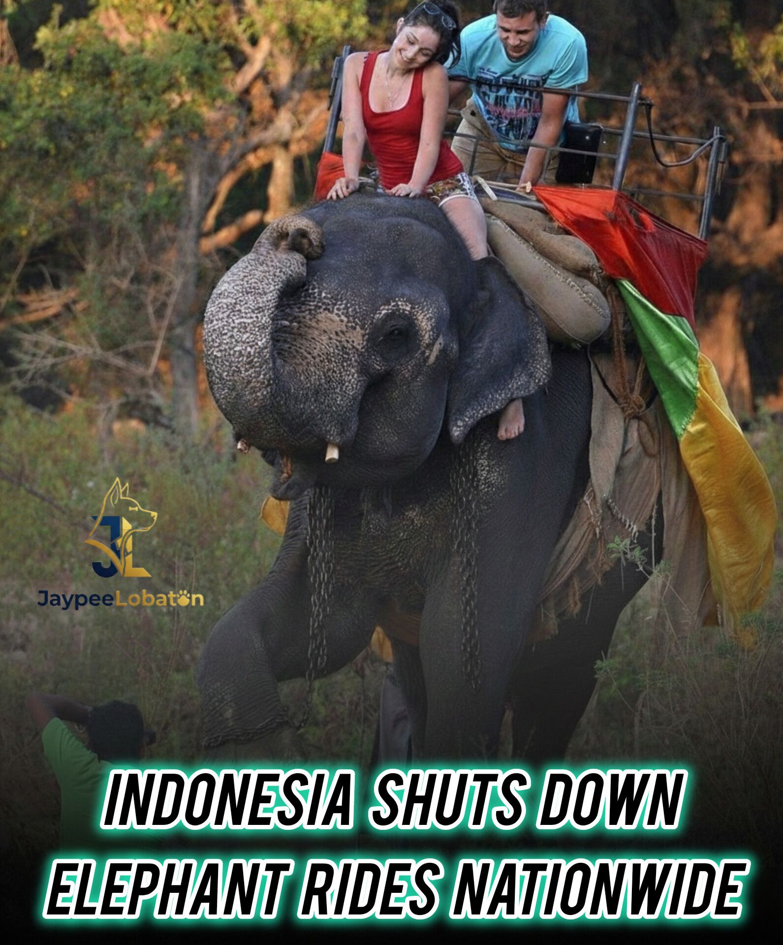 Jaypee - VICTORY! A STEP TOWARD FREEING ELEPHANTS FROM CRU3LTY ...