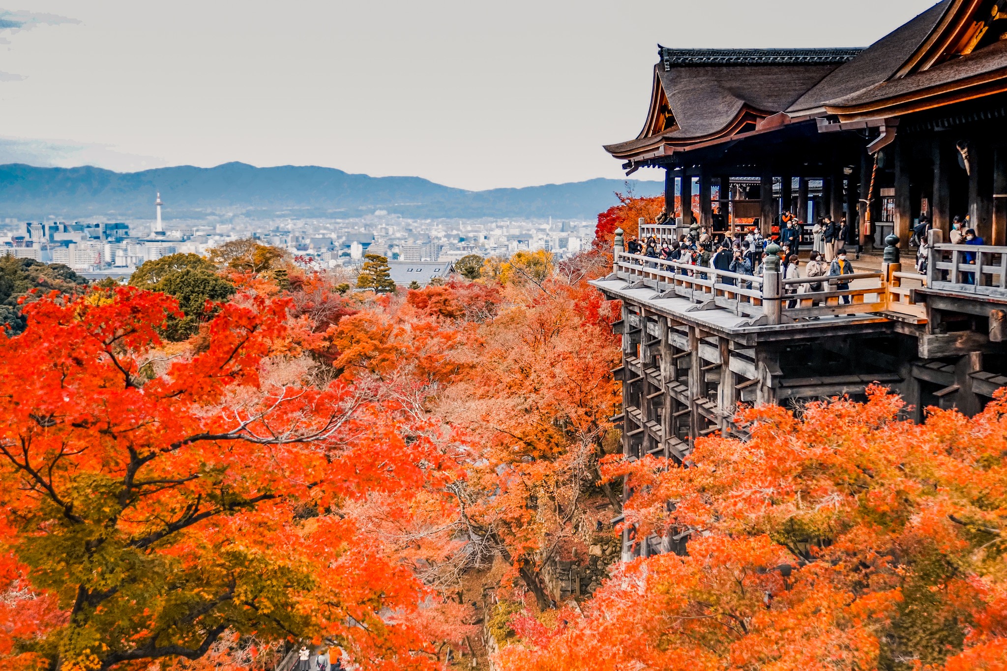 風塵萬里 旅人手札 - 京都賞楓懶人包看這邊！... | Facebook