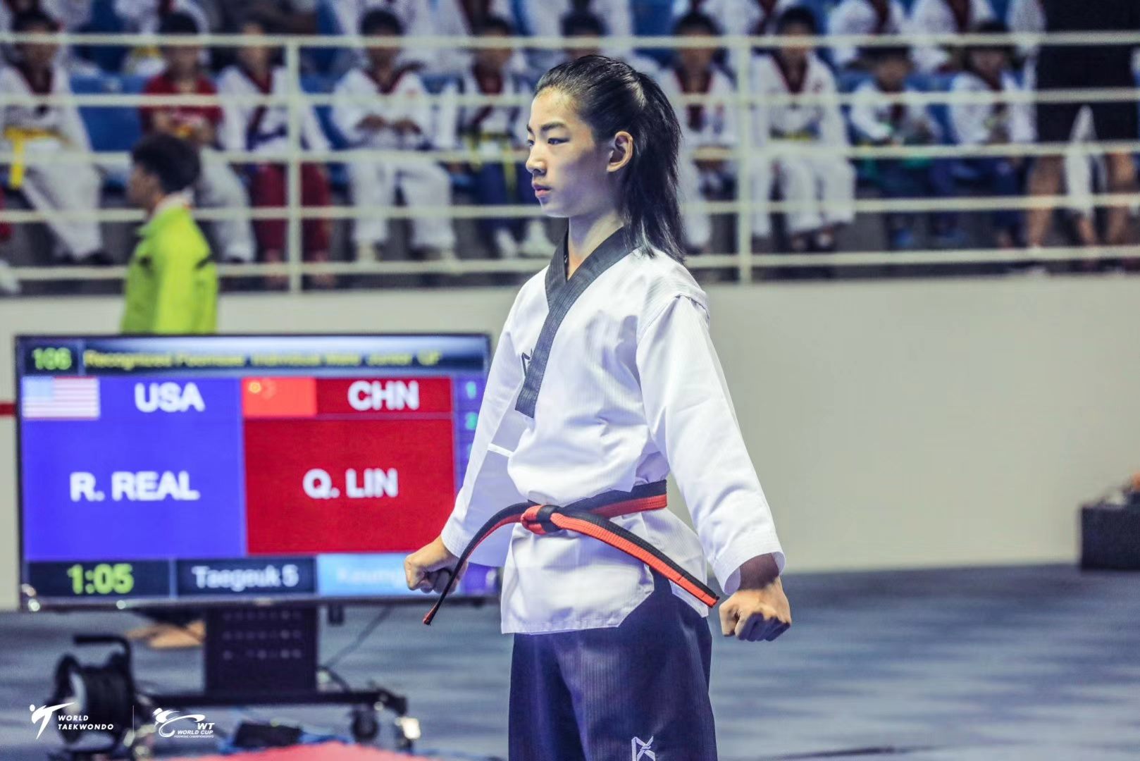 The Dragon Taekwondo Team of China/ LongYing Taekwondo 中国龙队示范团/龙英道场