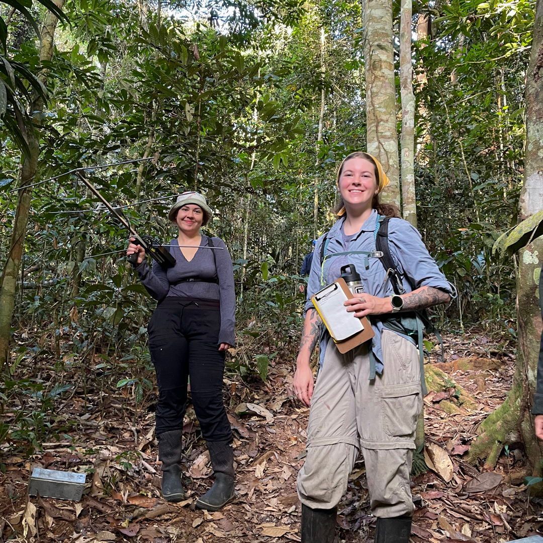Primate fanatic? Future... - Field Projects International
