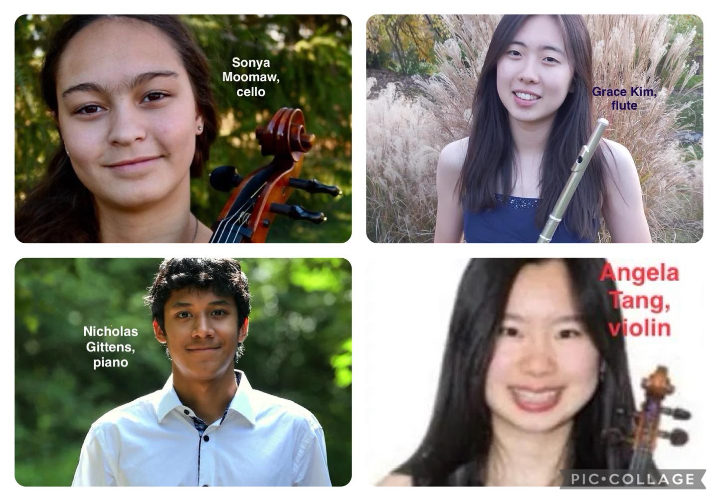 Young Artist... - Blue Ash/Montgomery Symphony Orchestra | Facebook