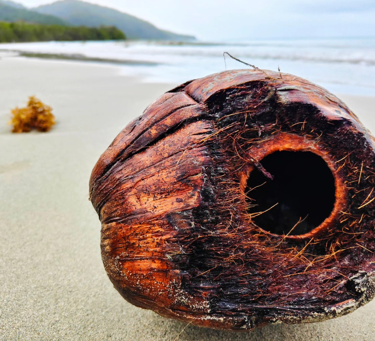 Crystal Vercoe - Art & Photography
