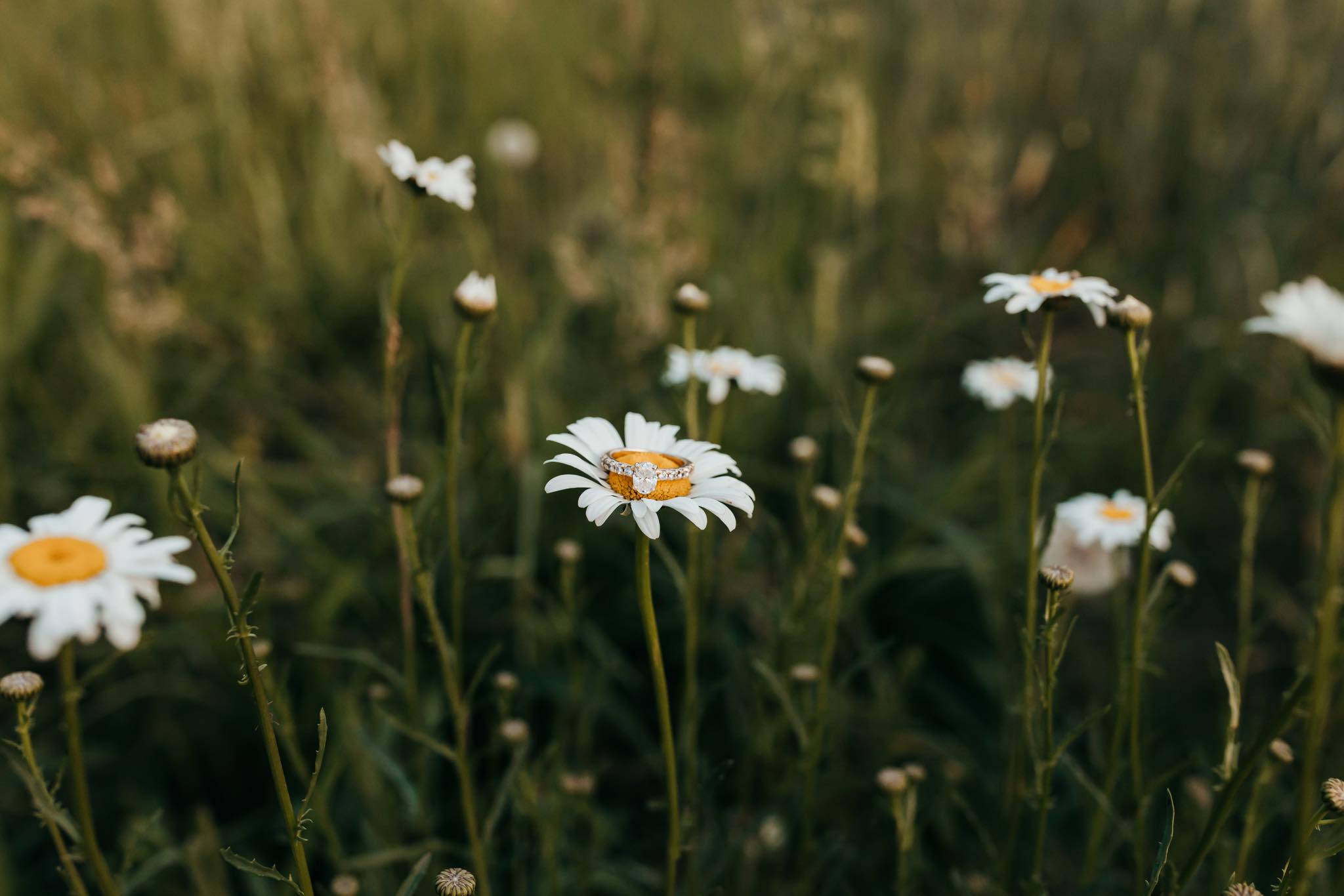 Kayla Renee Photography added a... Kayla Renee Photography