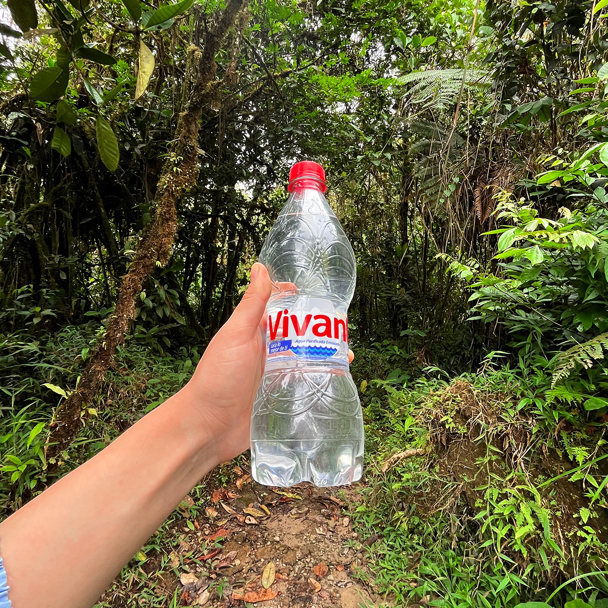 agua vivant con l carnitina 🏋 Balance, L-cartinina regresó a ser el complemento perfecto de tus rutinas de ejercicios. 💪💧 Recuerda: La L-CARNITINA acentúa el consumo de energía por parte del cuerpo, favoreciendo la perdida Bundle & Save (No Subscription):Buy 1 (30 Days Supply) Glutathione 2400mg + Vitamin _filter_for_all
