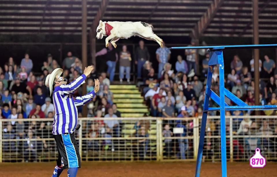 Jason Farley, Pro Rodeo Clown/Barrelman
