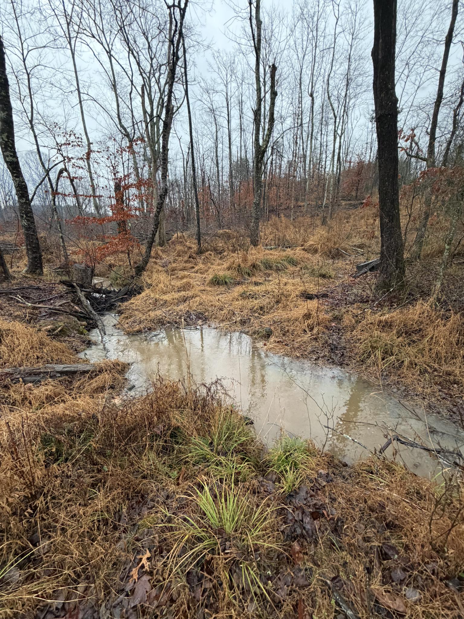 Rust - How high’s the water, mama? … about six feet high and risin’ 🌧️🤣 ...