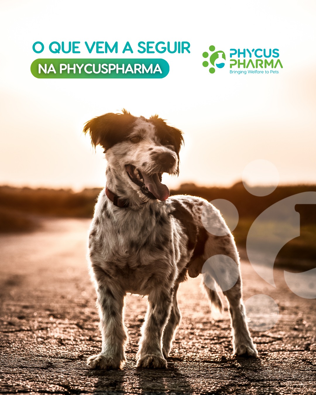 Phycus Pharma - O que vem a seguir na Phycus? Estamos em... | Facebook