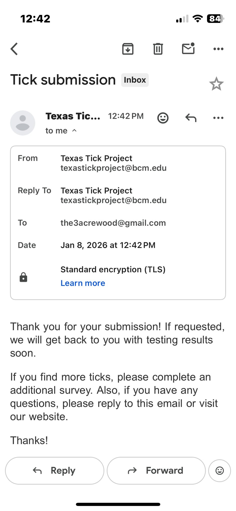 Todays homeschool project looks like... - The Three Acre Wood | Facebook