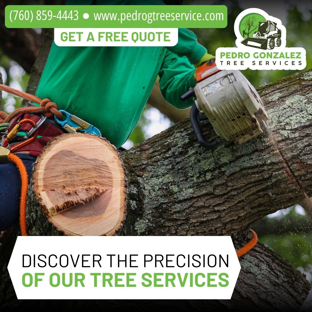 Pedro Gonzalez Tree Services | Fallbrook CA