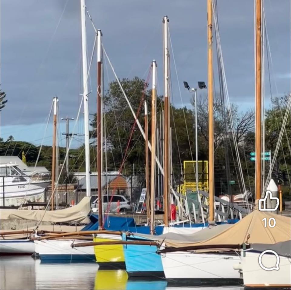 Couta Boats Queenscliff | Couta boat Maud (C178) under full sail-Source ...