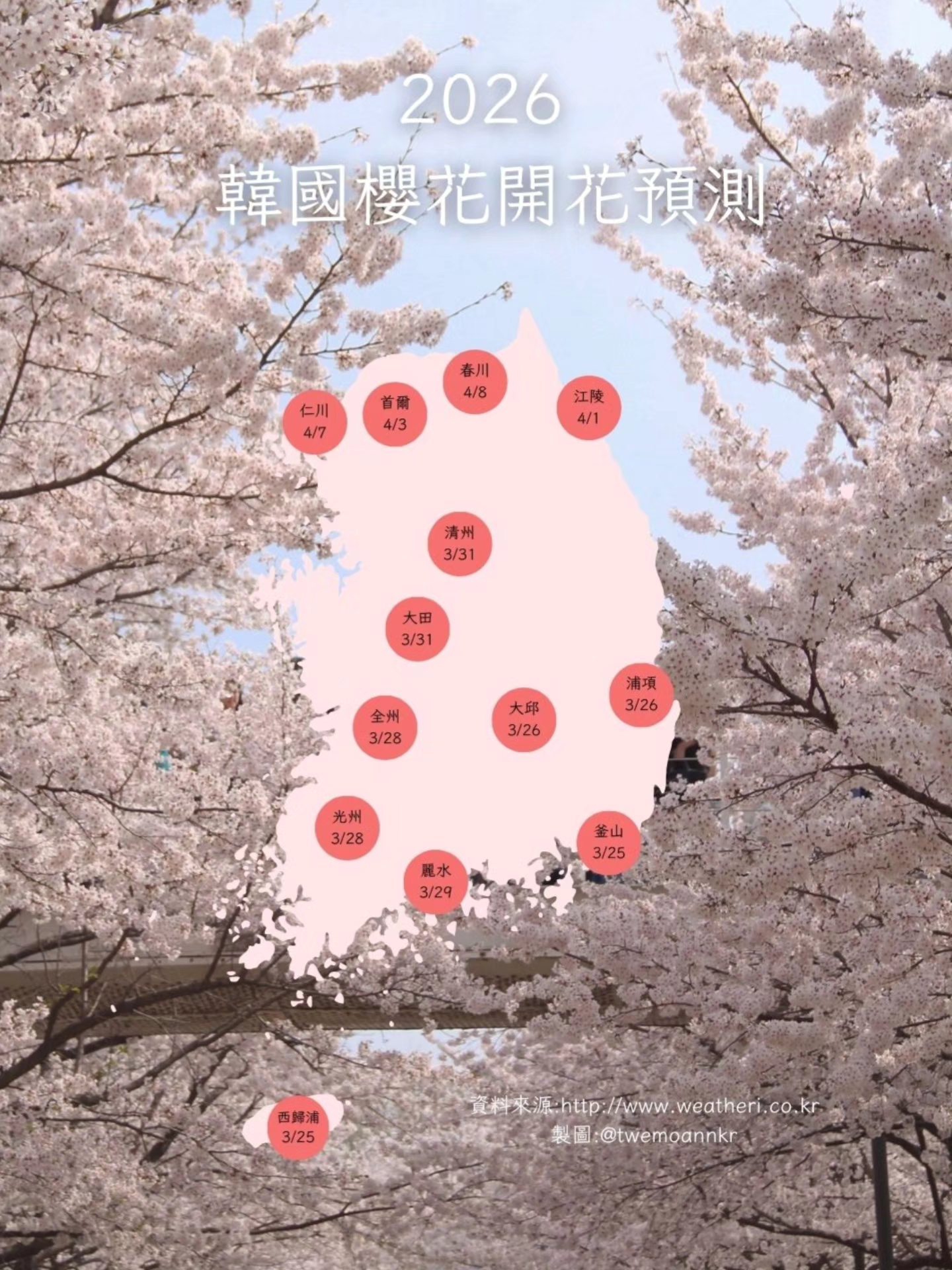 2026年韓國櫻花開花時間預測出來了... - 台灣安姨的韓國安居日常 대만 이모앤의 한국 life | Facebook