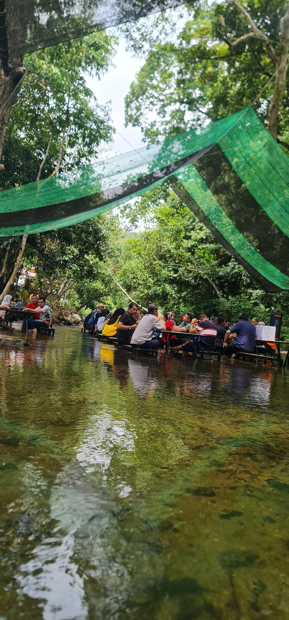 RIMBA CAFE KUALA KEDUA