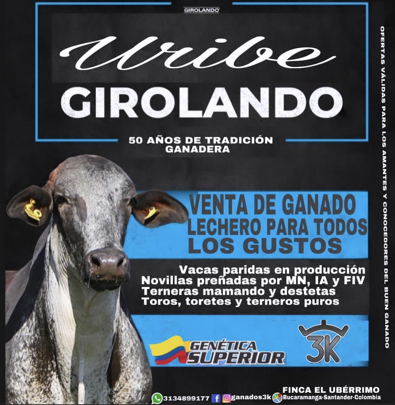 Amigos ganaderos les ofrezco esta hermosa vaca de primer parto raza ...