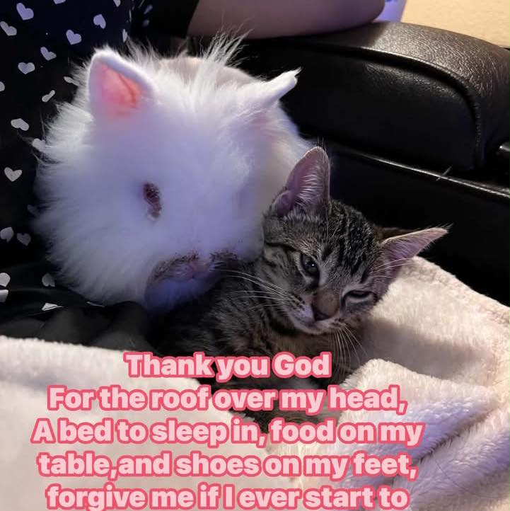 Enjoy little one ️ | Pinay pets videos & etc. | Facebook