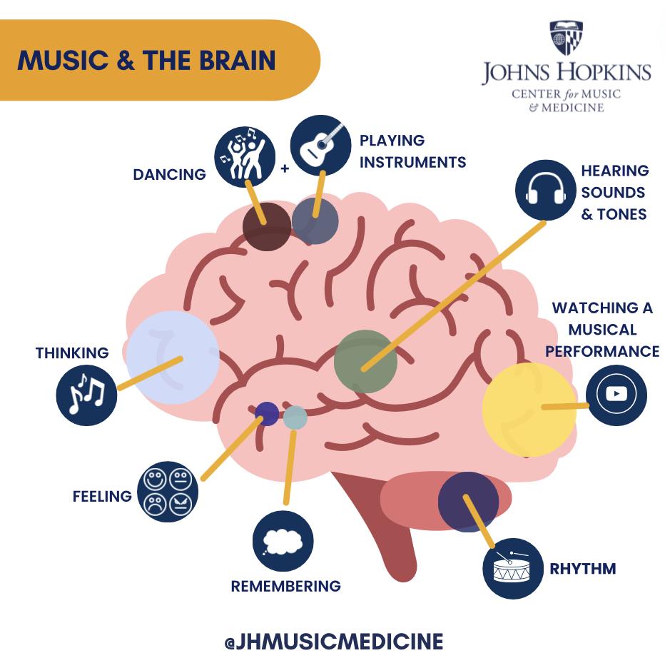 Johns - If you’ve ever wondered why music feels like a full-body ...