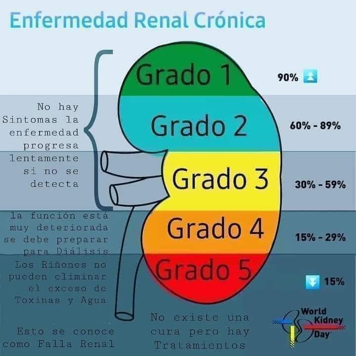 BioRenal - LAS 5 ETAPAS DE LA ERC La enfermedad renal crónica (ERC) se ...