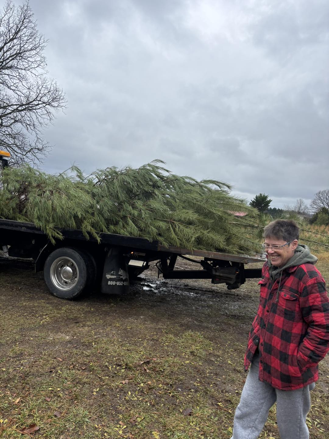 TNT Christmas Tree Farm | Knoxville TN