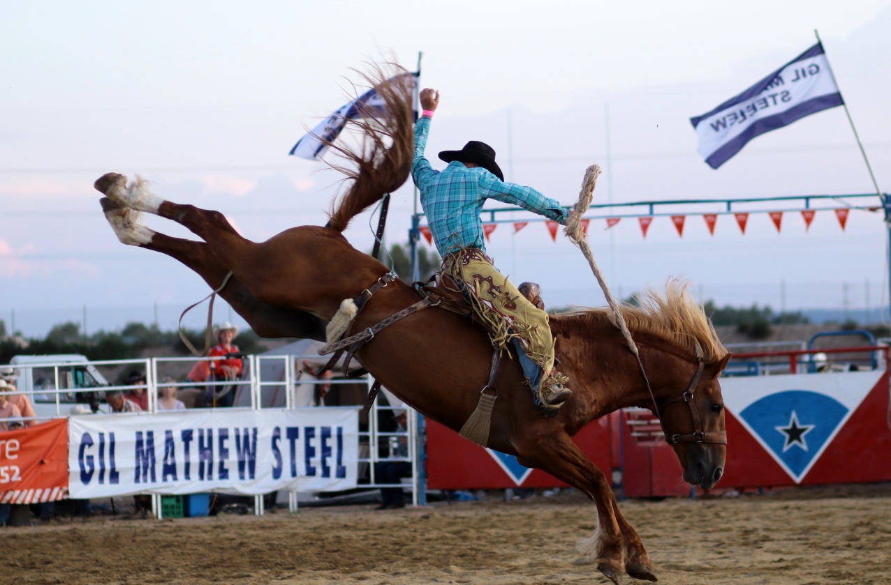 Wagga Pro Rodeo 2026 | Wagga Wagga NSW