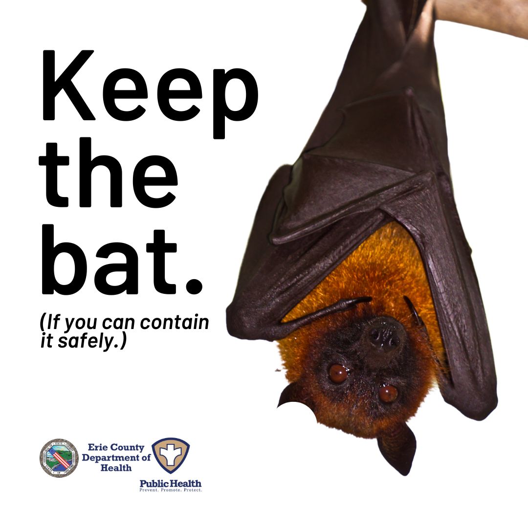 (Reposting from... - Erie County Department of Health (ECDOH)