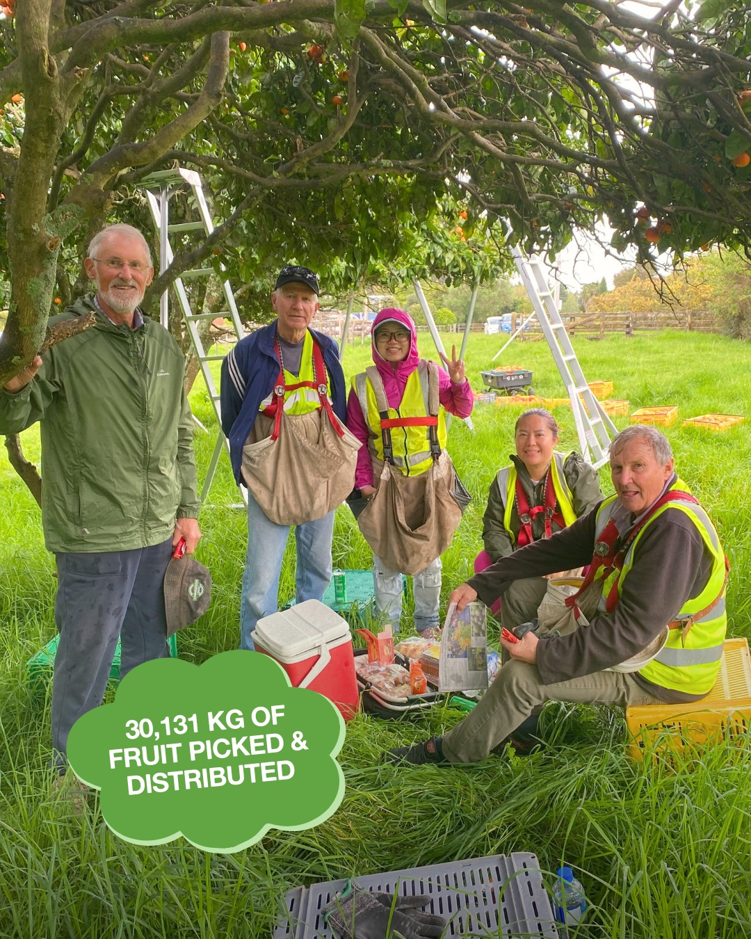 Good - Thanks to generous homeowners and dedicated volunteers, 30,131kg ...
