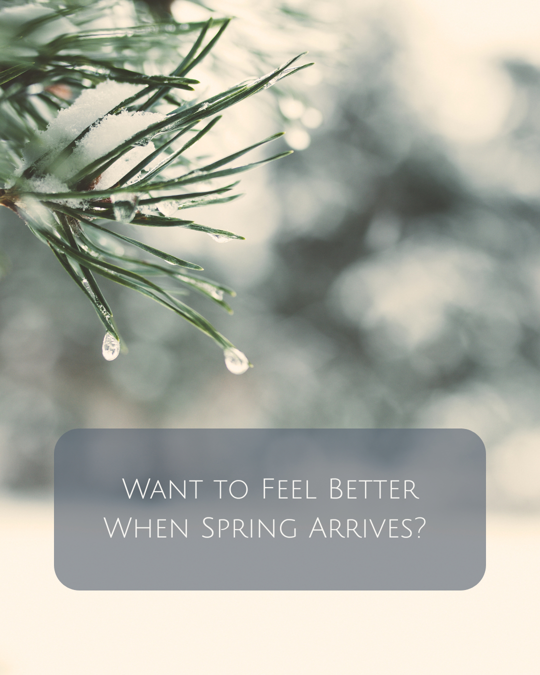Centered - Winter is for tending to deep resources!⁠ ⁠ Want to be ...