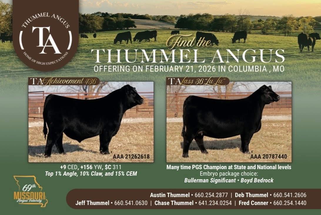 Meyer Cattle Company added a new photo. - Meyer Cattle Company