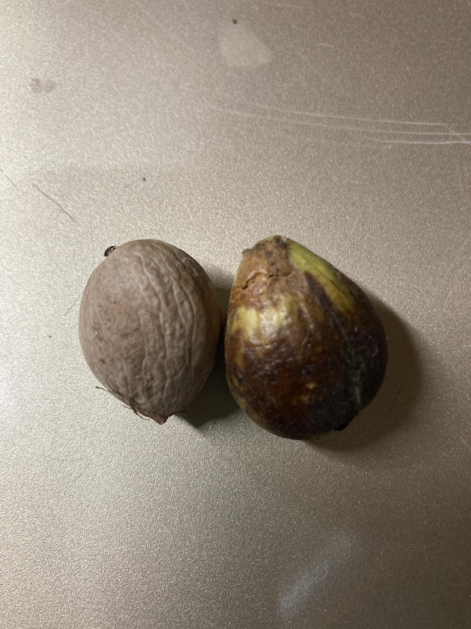 What is the name of this type of nut?