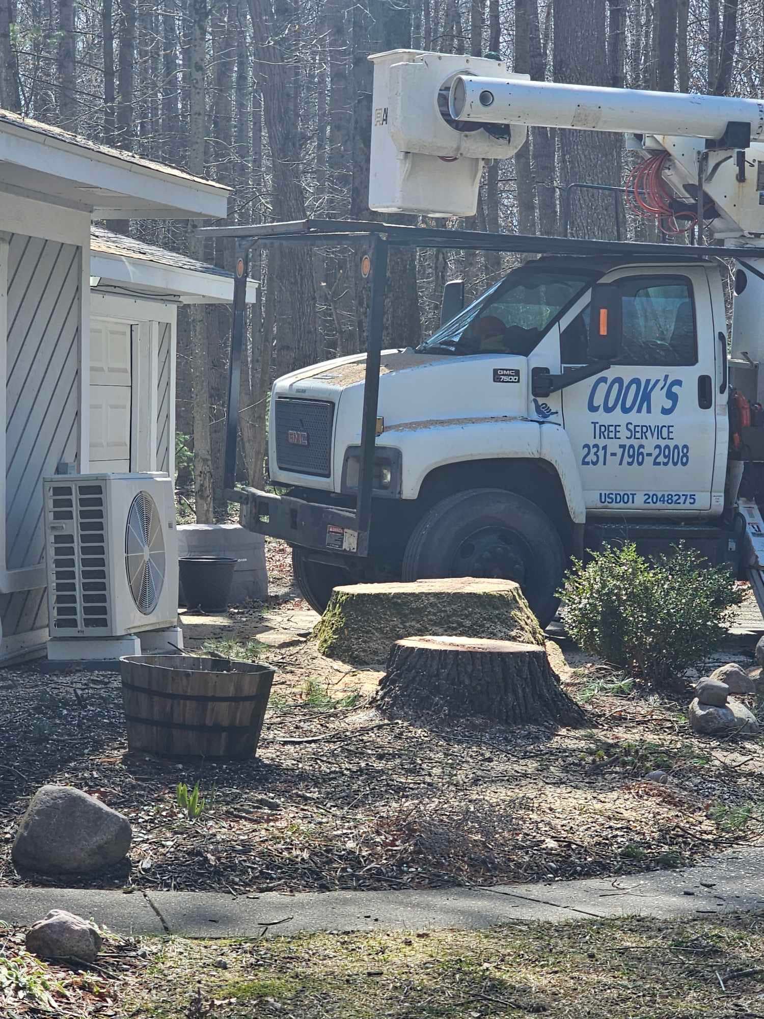 Cook's Tree Service LLC | Mecosta MI