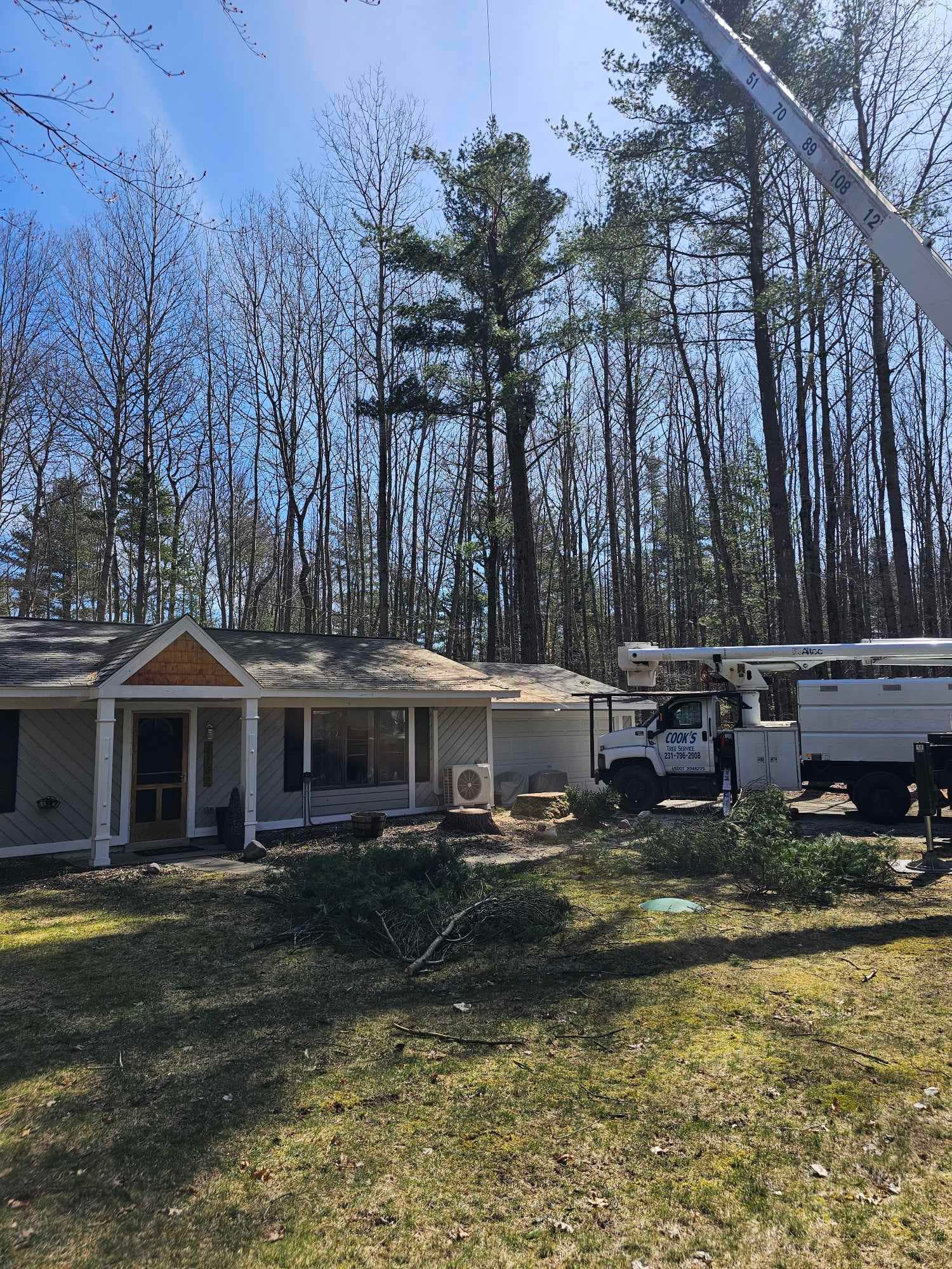 Cook's Tree Service LLC | Mecosta MI