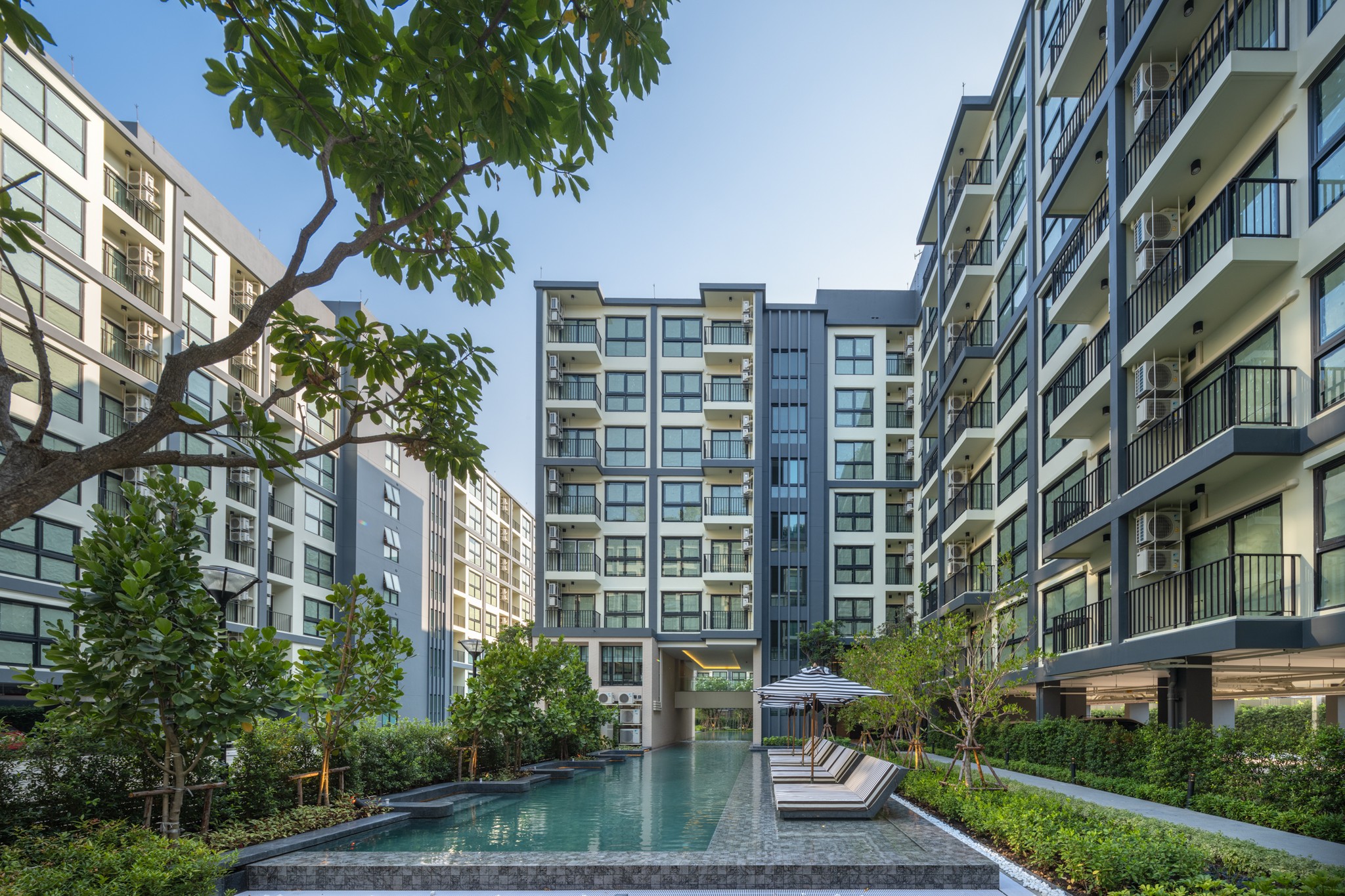 REAL ASSET DEVELOPMENT added a... - REAL ASSET DEVELOPMENT