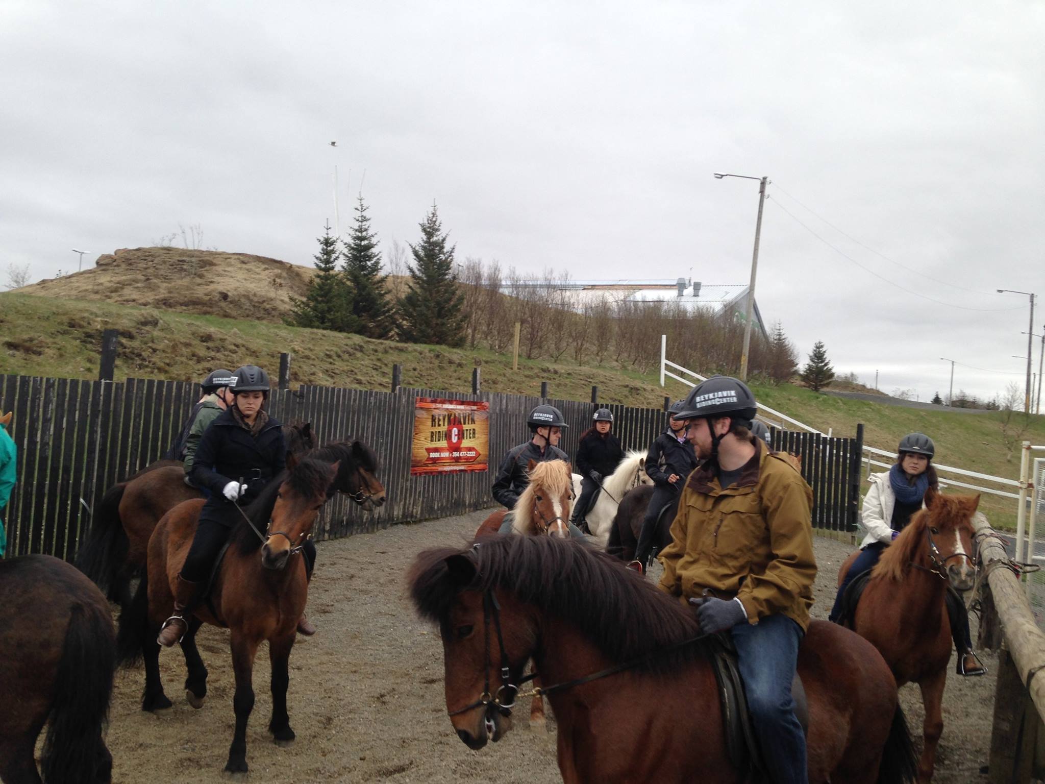 Riding... - Riding Tours in Iceland - Reykjavík Riding Center