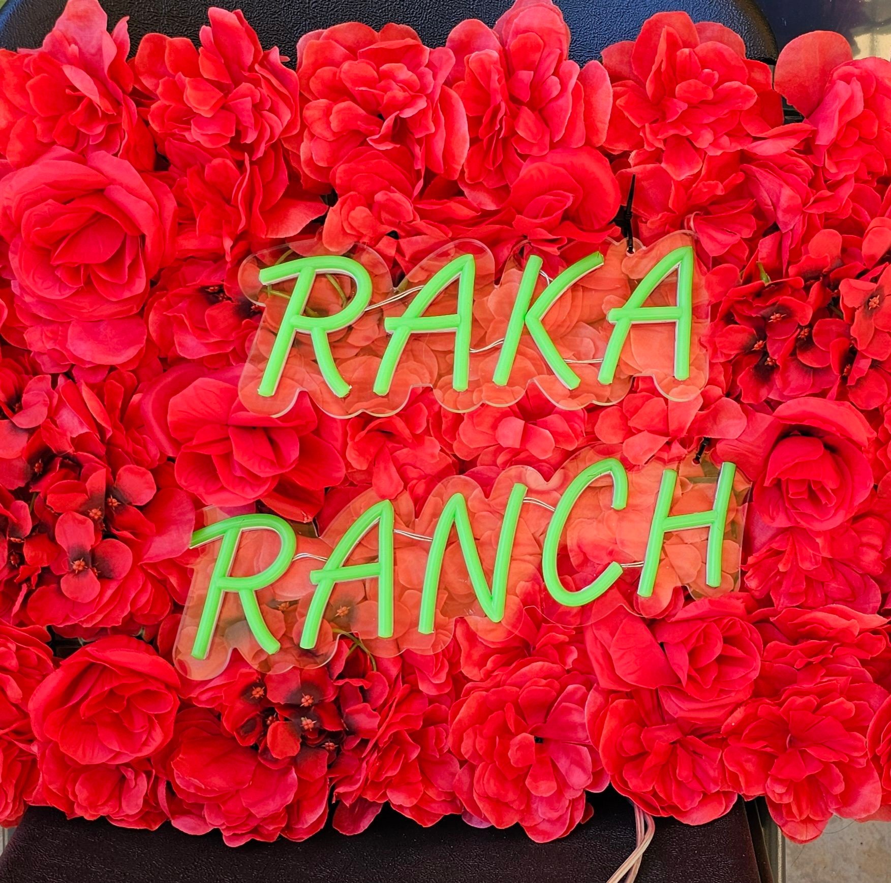 Raka Ranch Folsom Louisiana... - Raka Ranch Folsom Louisiana