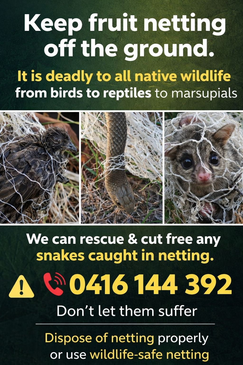 Snake - Damage from fruit netting | Facebook
