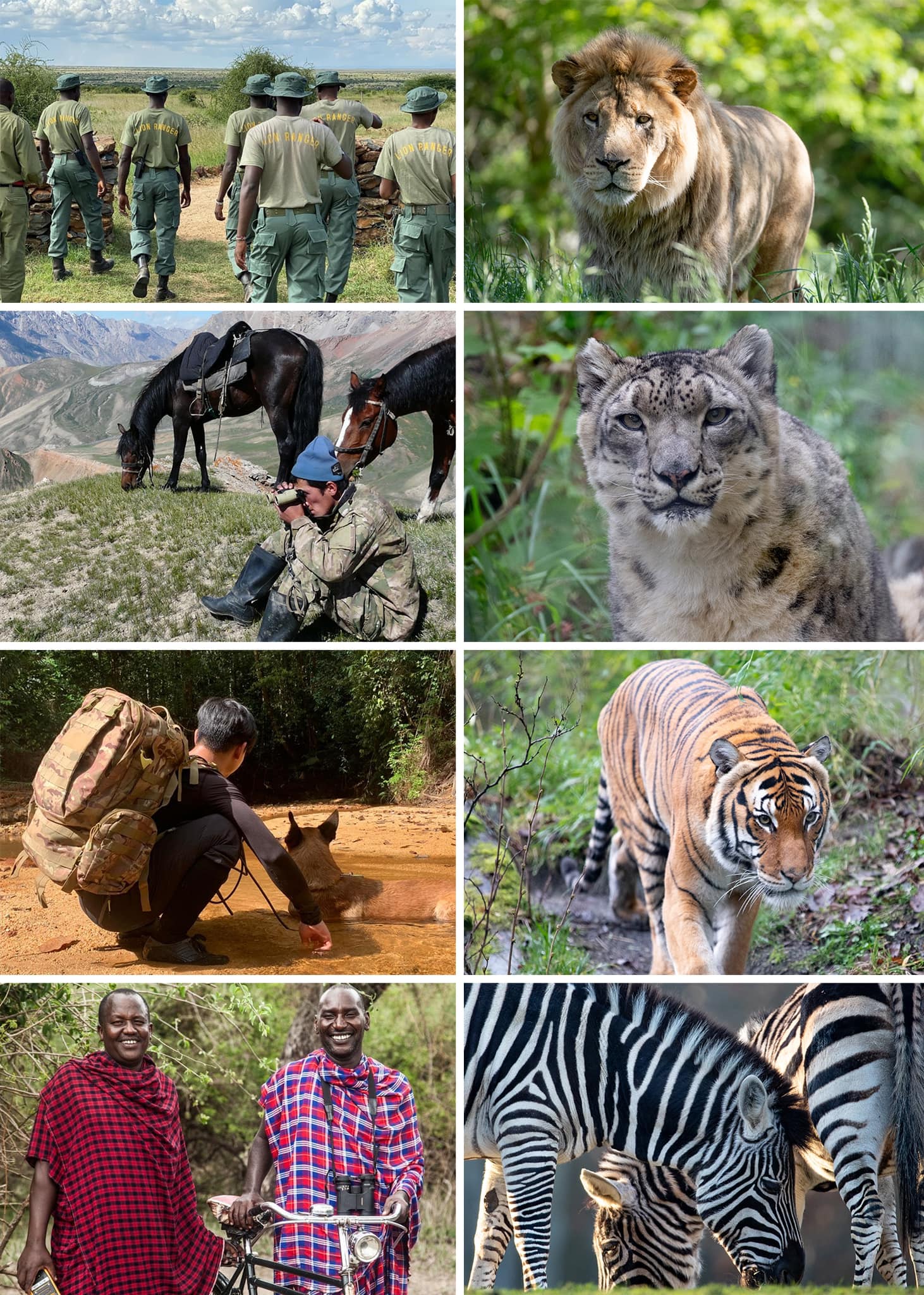 On World Ranger Day, we share our... - Woodland Park Zoo | Facebook