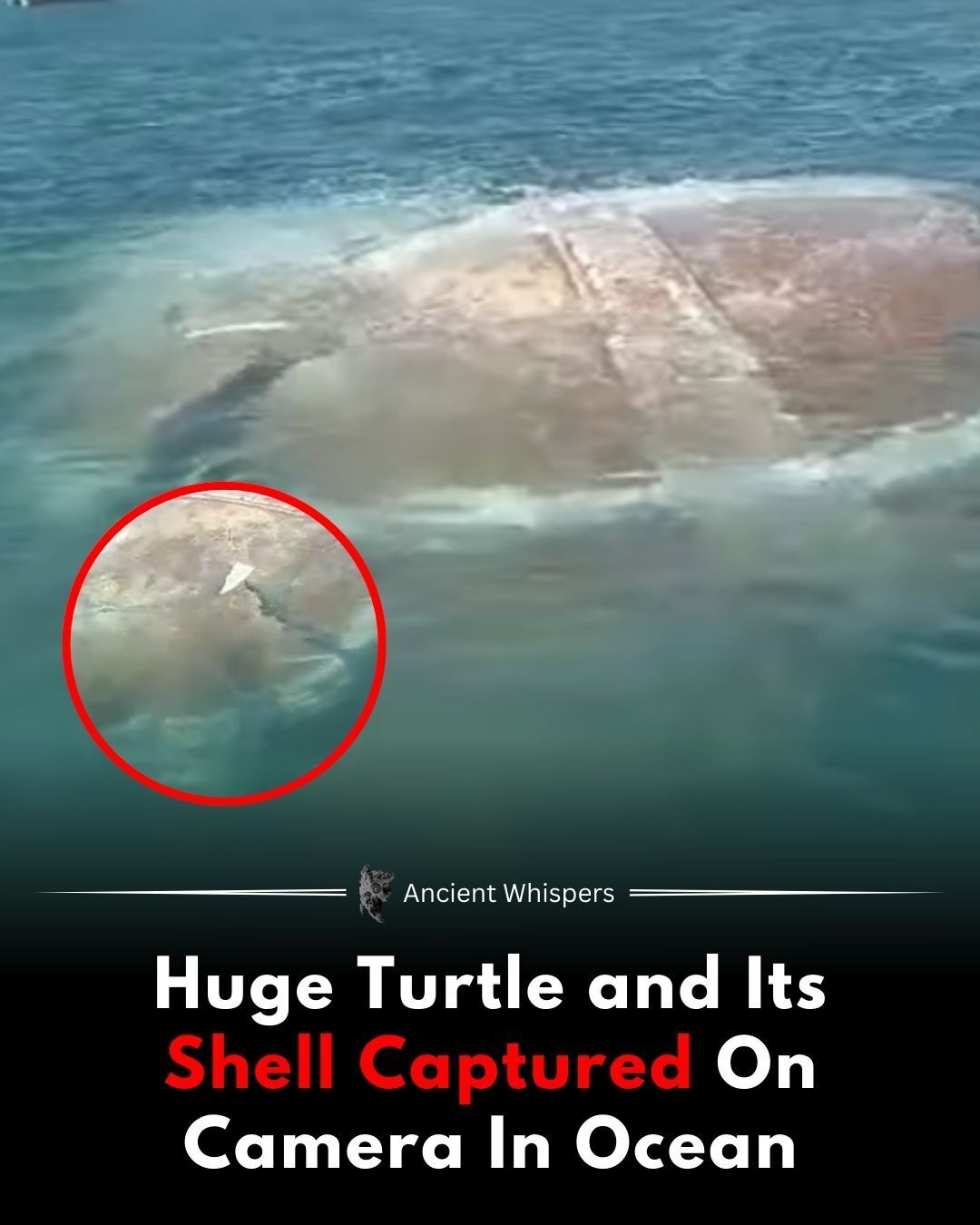 Ancient - Strange Footage circulating online appears to show a massive ...