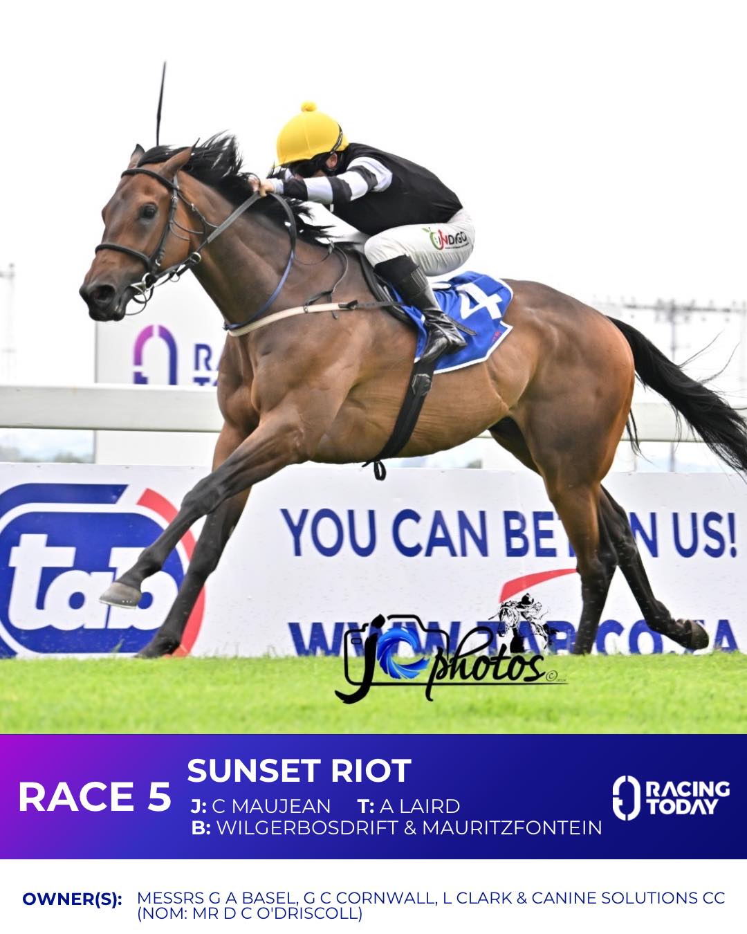 Racing - 🇿🇦 #Turffontein 14 February - Race 5🏇🏼 ⭐️ SUNSET RIOT (Rafeef ...