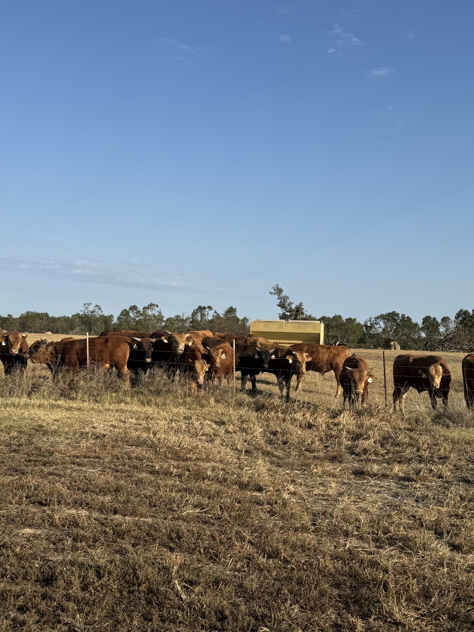 Eagle Crest Ranch | Gentry AR