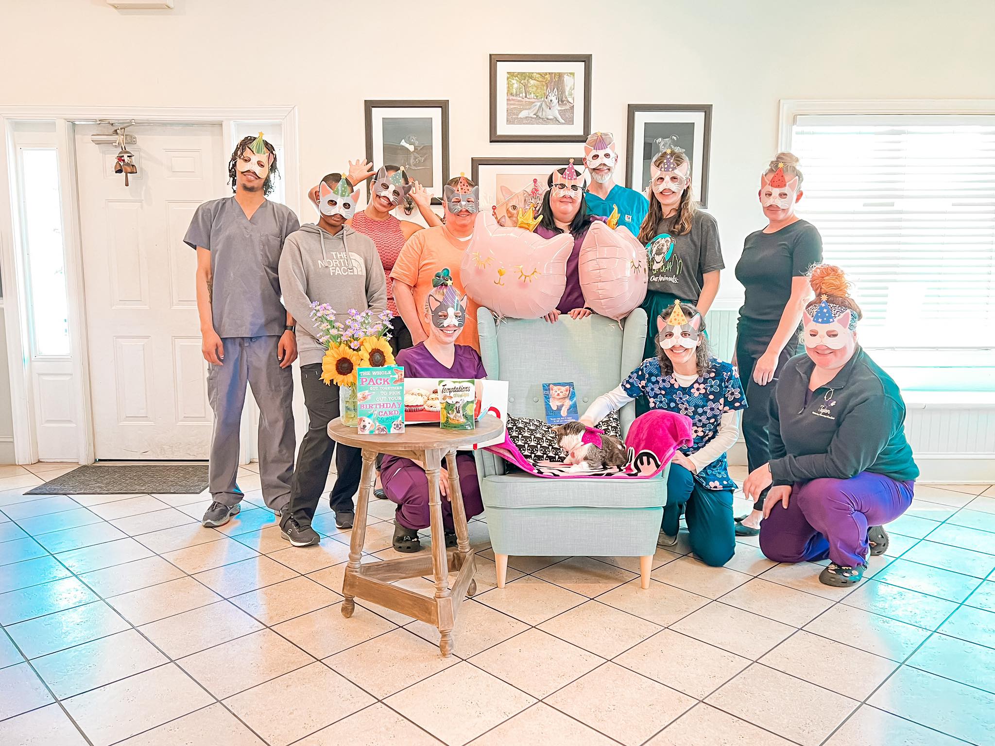 Our new website is up!! Check us... - The Ark Animal Hospital | Facebook