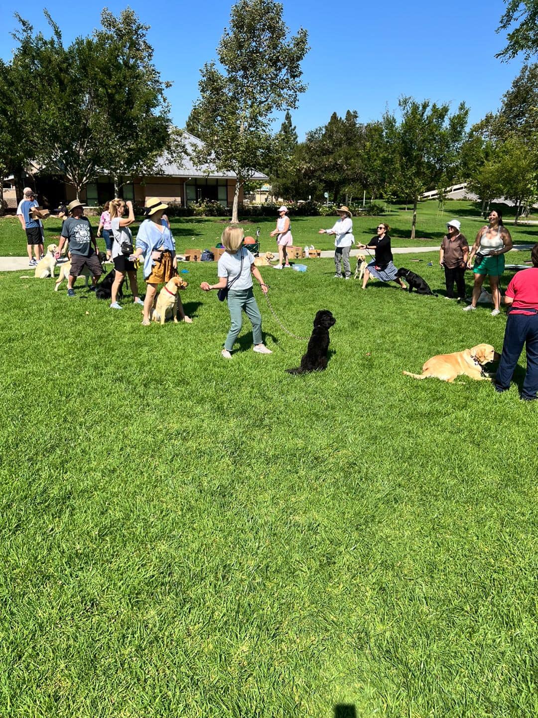Orange County Guide Dogs of America - OCGDA